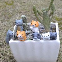 Mini Katten Beeldjes Set | 6x Schattige Resin Miniaturen voor Bonsai, Fairy Garden & Decoratie
